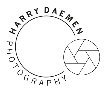 Harry Daemen